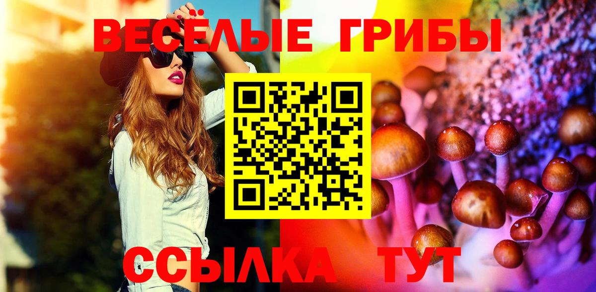 Псилоцибиновые грибы Psilocybine cubensis  Вход с VPN  Звенигород 