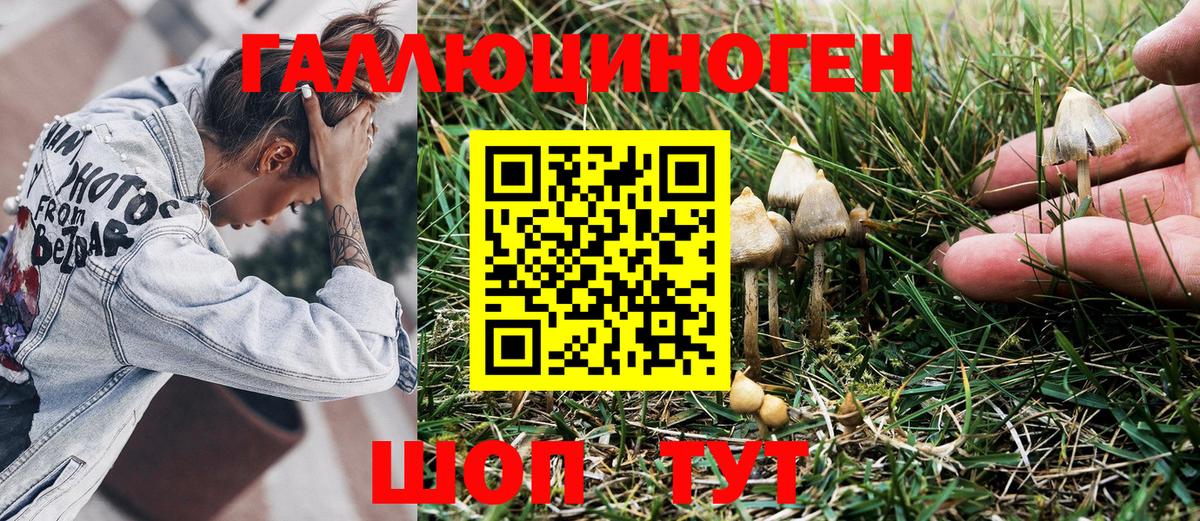 Галлюциногенные грибы мухоморы Звенигород
